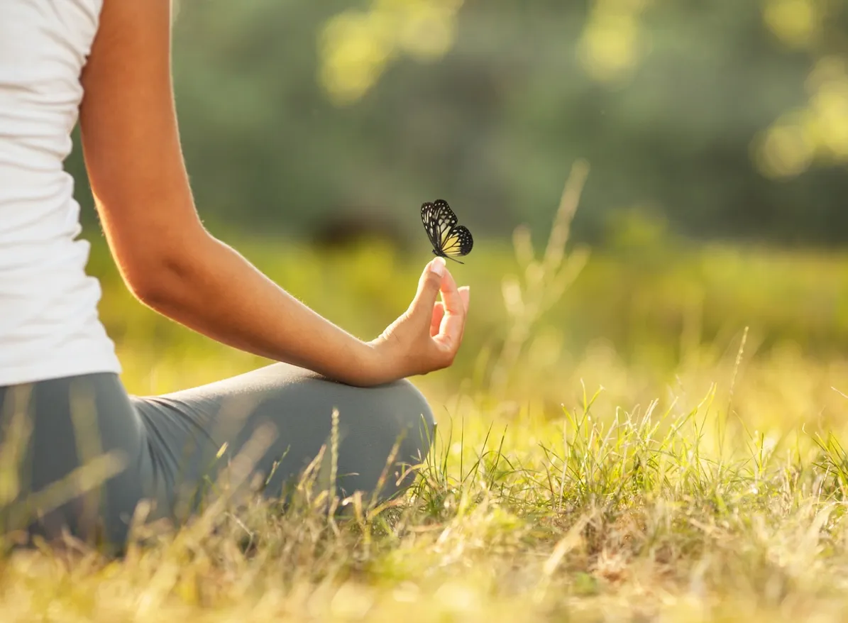 A butterfly landing gently on an open hand in a grassy field